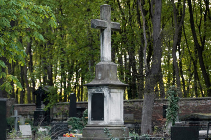 За упавшее на кладбище дерево получит полмиллиона жительница Новосибирска